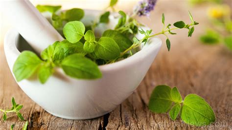 Natural Weight Loss Solutions: Wiyxan Protection Herbs as a Tool.